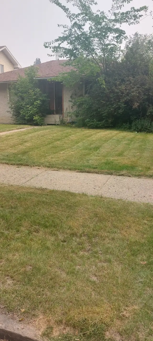 AFFORDABLE LAWN MOWING SERVICES62863247655937121