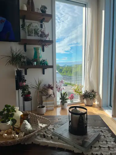 Condo à louer – 2 chambres – Rosemont-Angus – du 30 juin au 14 juillet ✨ Vue Mont-Royal + Pont Jacqu...