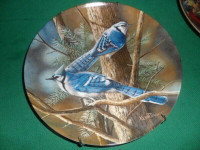 Blue Jay collector plate