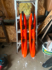 Snowmobile plastic skis