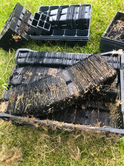 Cell pals for propagating seeds or small cuttings. Couple of hundred, I am guessing. Covered in gras...