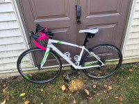 Mint Specialized Dolce Comp