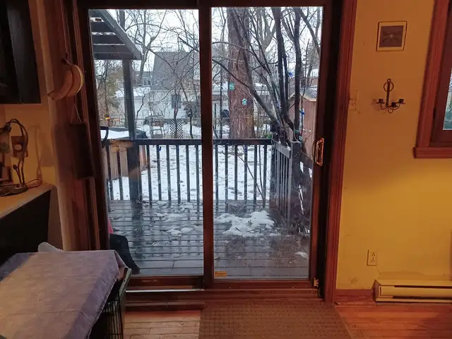 pension pour chien maison privé in Animal & Pet Services in Longueuil / South Shore - Image 8