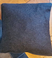 Coussin Chauffant/Heated Pillow