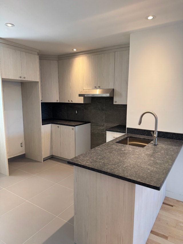 Appartement grand 4 ½ a St-Henri — photo 3