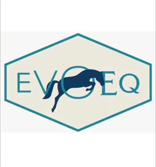 Beginner Riding Lessons65359646252673120