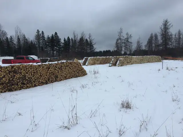 Campfire wood, camping, ignition62864745525761123
