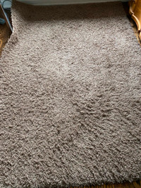 Shag area rug