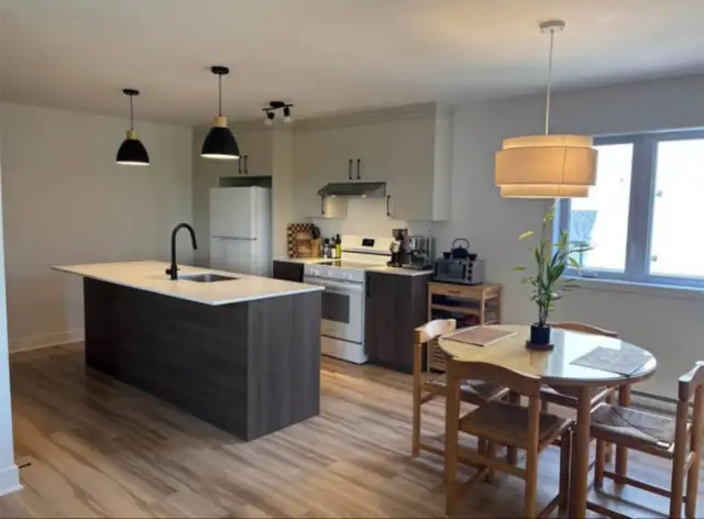 Ste-Anne-des-Plaines Grand 4 1/2 neuf à louer