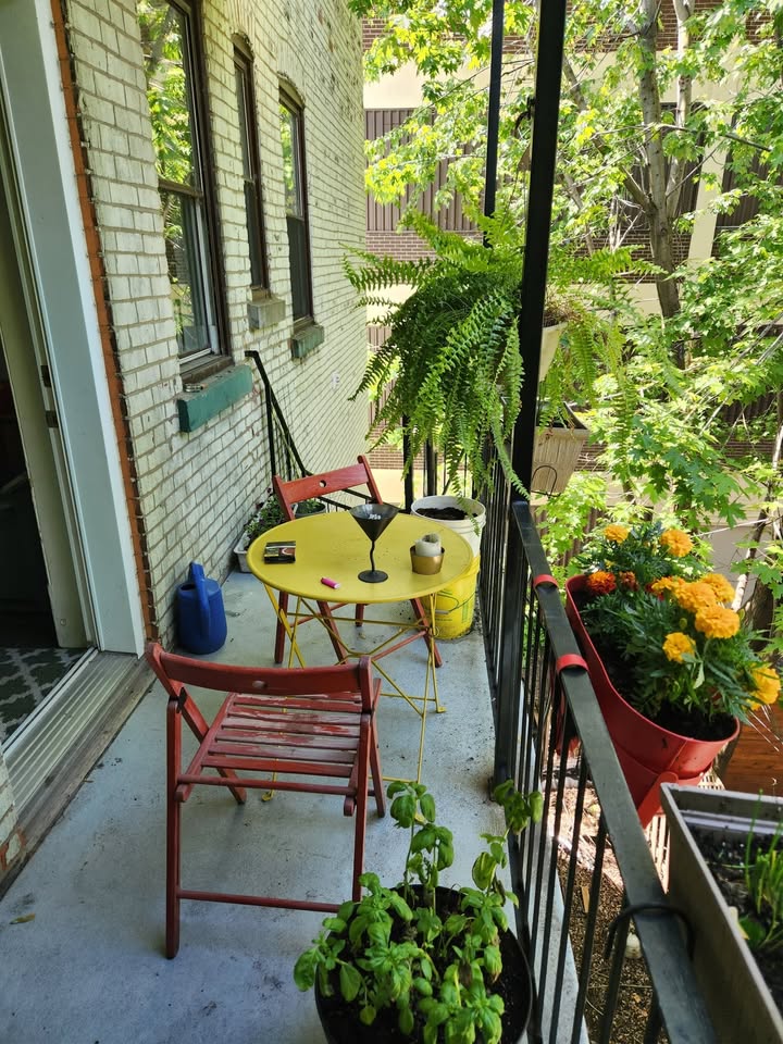 Chambre à louer / Room for rent / Ligne verte / Green line — photo 2