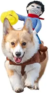 Doggie Rodeo Rider Costume, View more