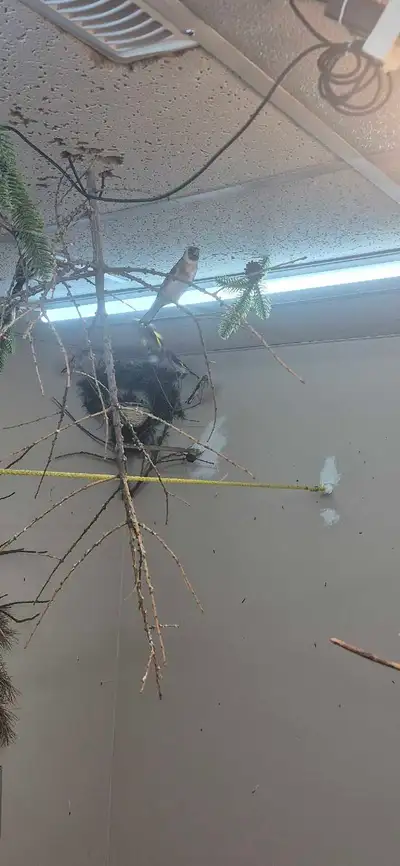 5658 McLeod Rd NW , View more