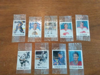 Hockey stickers lot from Frito Lay 1988