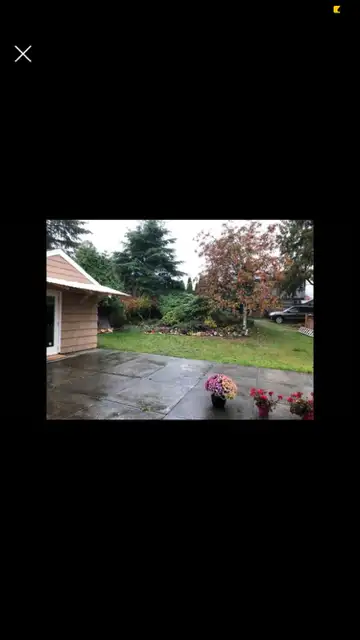 FURNISHED, BRIGHT PRIVATE ROOM. in Room Rentals & Roommates in North Shore - Image 7