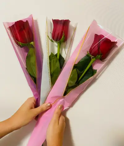 Single rose $6, View more