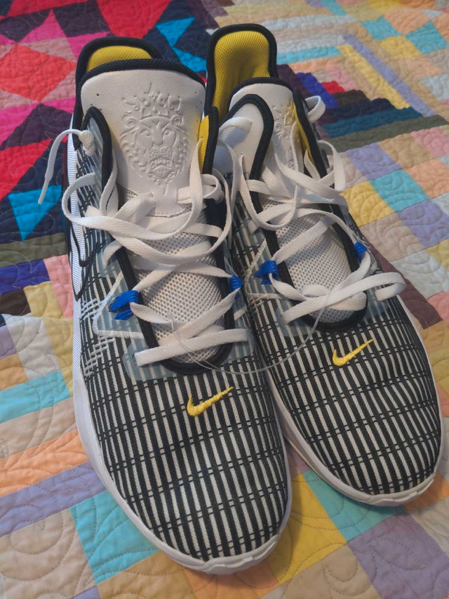 Nike LeBron Witness 6 in Men's Shoes in Sarnia