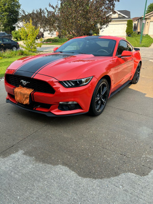 2016 Ford Mustang