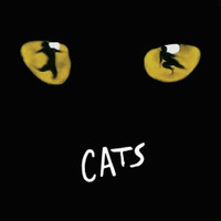 CATS - ANDREW LLOYD WEBBER ORIGINAL BROADWAY CAST 1983 2 CD