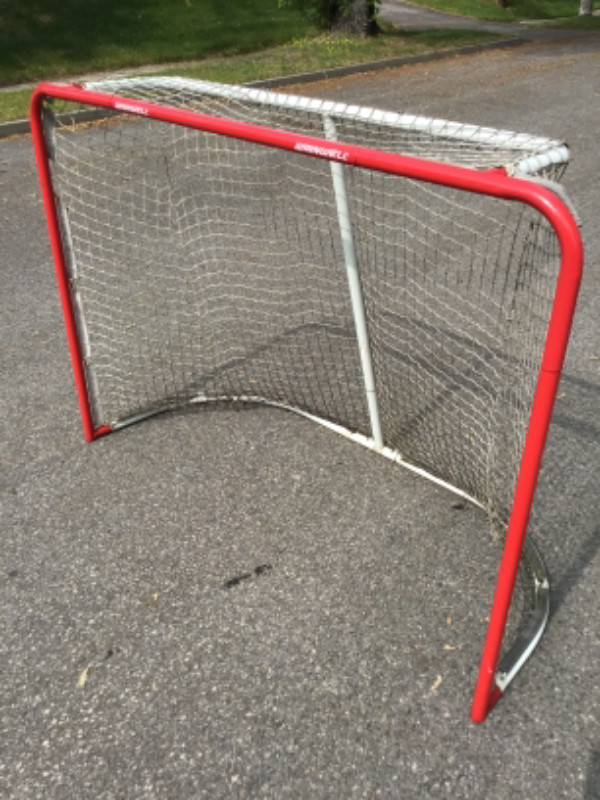 Grand but pour hockey de rue dans Hockey  à Lac-Saint-Jean - Image 4