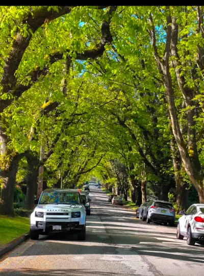close to UBC , 2 minutes walking to shopping. 2 minutes walking to bus station(R4, 41, 7, 2 ,49 ect)...