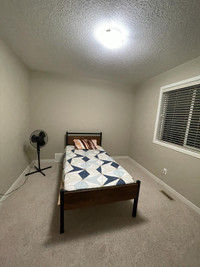 Furnished room for rent. Bed, TV, Closet, fan