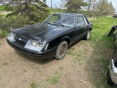 1982 Ford Mustang 