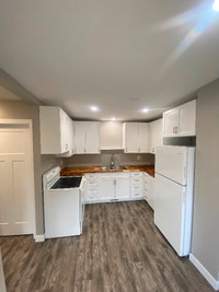 Brand new Fully renovated 3 bedroom apartment for rent April 1