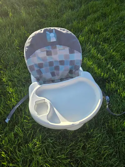 infant Boooster Seat, View more