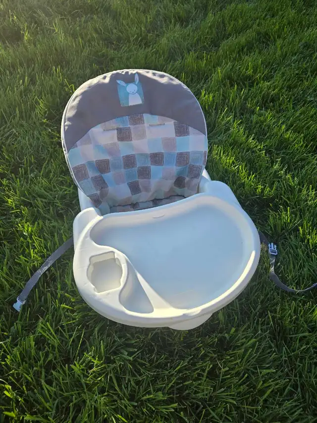 infant Boooster Seat in Bathing & Changing in Edmonton - Image 2