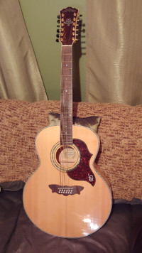 Washburn Cumberland 12 String Guitar