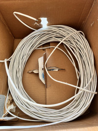 CAT 3 Cable