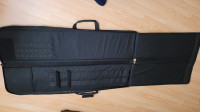 Gun case