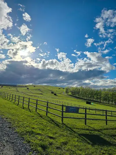 Looking for someone to add to the team that has experince with horses and is interested in the manag...