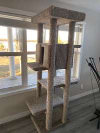 Cat tree - extremely large 