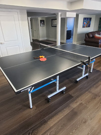 Premier Ping Pong Table