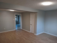 Newly renovated, very spacious One Bedroom Apartment for Rent