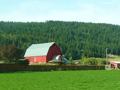 Looking for small house/cabin/mobile to rent with acreage for horses. Off-grid ok. Willing to commut...