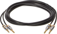 Amazon Basics Speaker Cable Gold-Plated Banana Tips - CL2-6ft