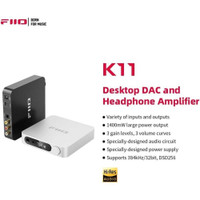 Fiio k11 DAC/Headphone amp