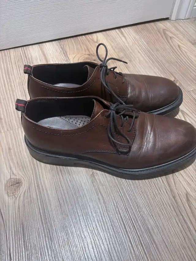 Sale Brown Leather Derby Shoes Steve Madden | Men's Shoes | Oshawa ...