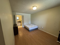 Master Bedroom for Rent. (Private Bathroom/Closet)