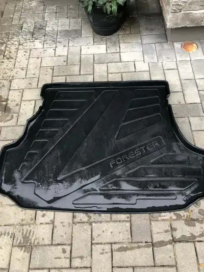 Cargo mat from Subaru Forester. Keeps things dry and clean.
