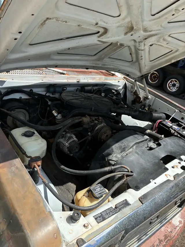 Southern 91 Dodge D-150542978539846389766