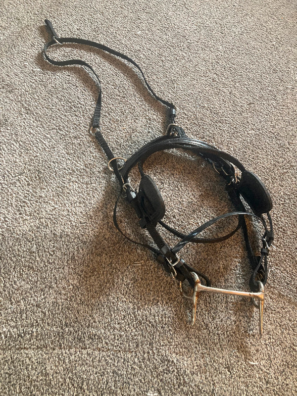 Pony harness in Equestrian & Livestock Accessories in Lloydminster - Image 2