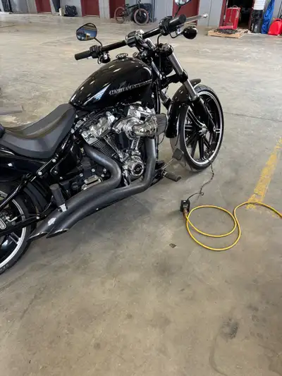 2019 Harley Break out