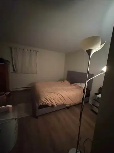 Chambre salon à louer