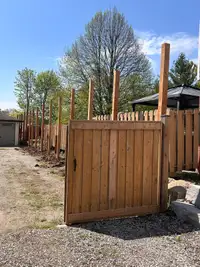 Fence posts 