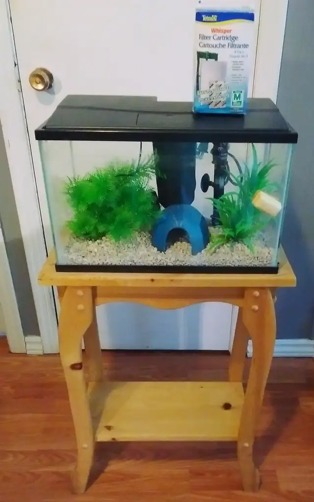 Many small aquariums for sale price in description. in Fish for Rehoming in Saint John - Image 7