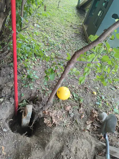 Looking for a strong person to dig 9 post holes by hand. Have to use same hole as previous fence. So...