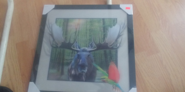 3D PIC OF A MOOSE- 15.00 in Arts & Collectibles in Saint John